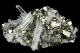 Gleaming Pyrite & Quartz Crystal Association - Peru #124439-1